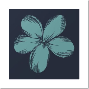 Plumeria from Hawaii Posters and Art